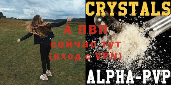 ГАЛЛЮЦИНОГЕННЫЕ ГРИБЫ Киреевск