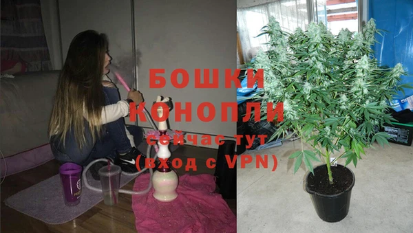 ГАЛЛЮЦИНОГЕННЫЕ ГРИБЫ Киреевск