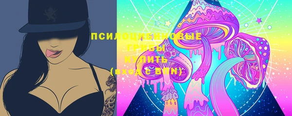 ГАЛЛЮЦИНОГЕННЫЕ ГРИБЫ Киреевск