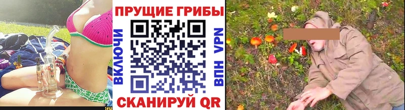 дарнет шоп  Бердск  площадка телеграм  Псилоцибиновые грибы прущие грибы  блэк спрут зеркало 