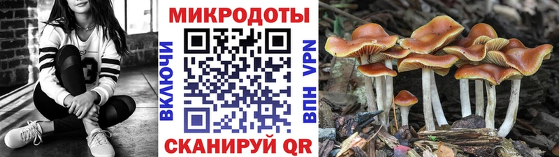 Галлюциногенные грибы Cubensis Бердск