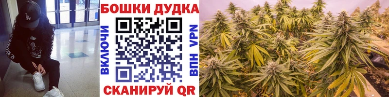 Канабис планчик Бердск